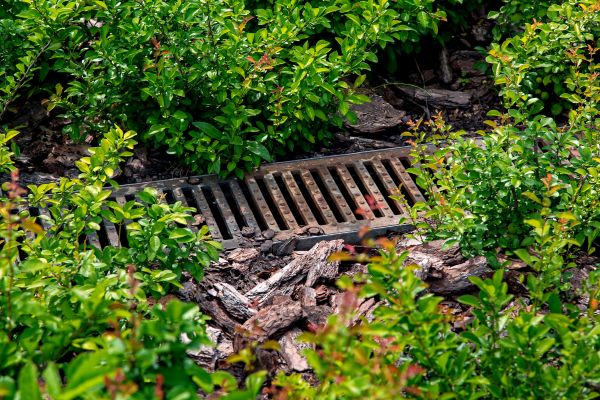Cost of Underground Drainage Service in Milford