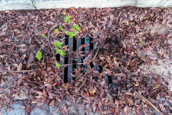 Cost of Yard Drain Unclogging in Milford