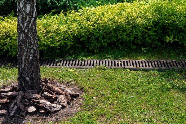 Cost of Wet Yard Drainage in Milford