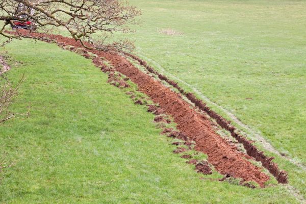 Cost of Swale Installation in Milford