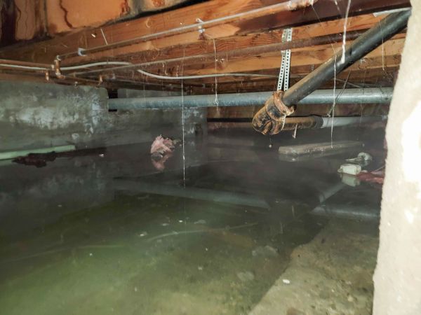 Cost of Crawlspace Drainage in Milford